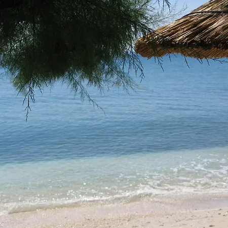 Mario Подстрана